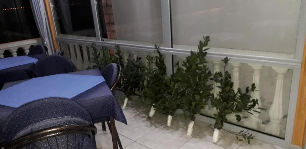 Uma área de estar em Pana-Eustahije 253