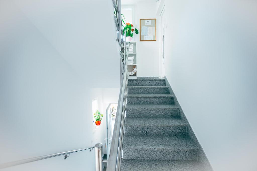 Fotografie z fotogalerie ubytování Apartment Zore v destinaci Promajna