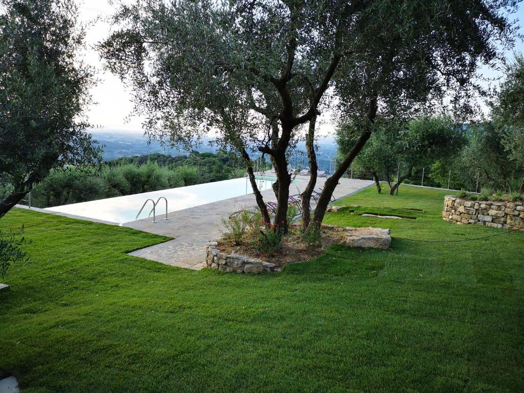 a tree in the middle of a lawn with a pool at Tenuta San Giovanni Lucca - Borgo Ai Rovai in Lucca