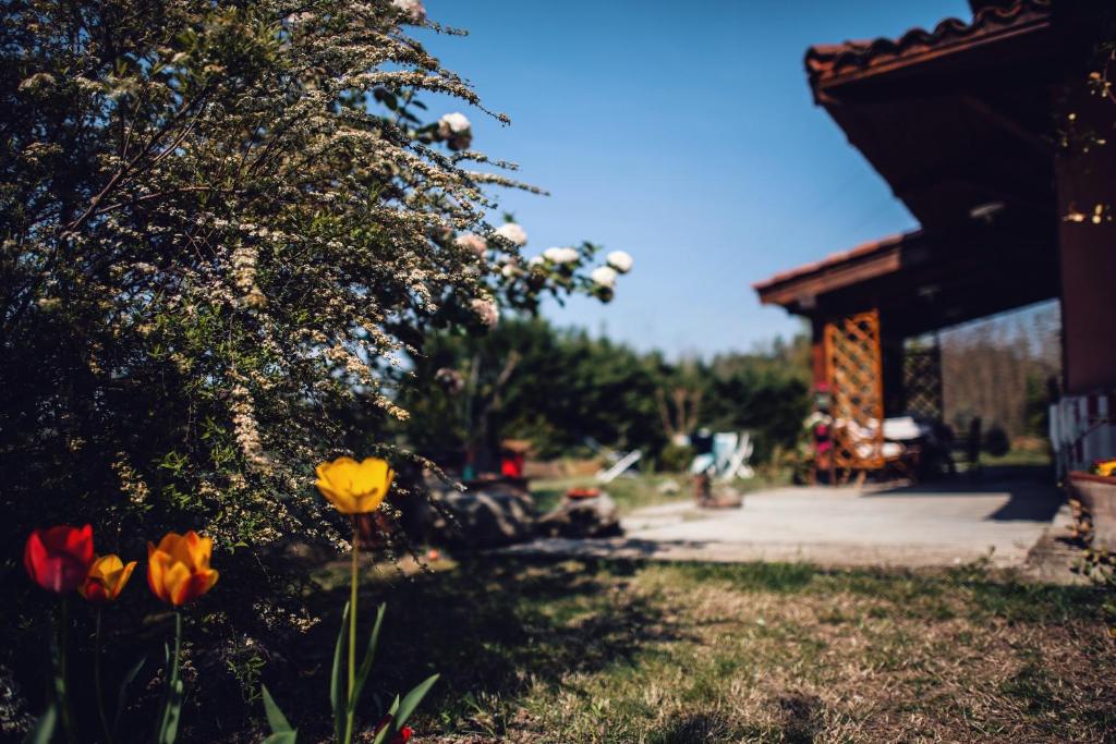 Zahrada ubytování B&B Cascina Ciapilau