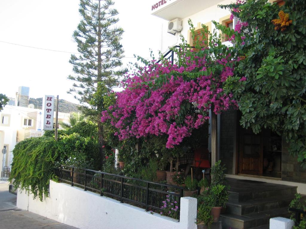 Zahrada ubytování Thalia Hotel