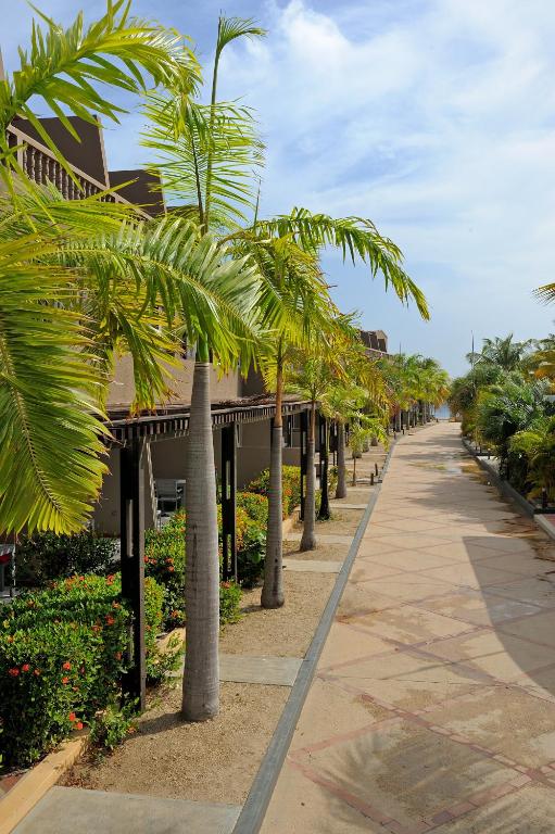 Zahrada ubytování Eden Beach Resort - Bonaire