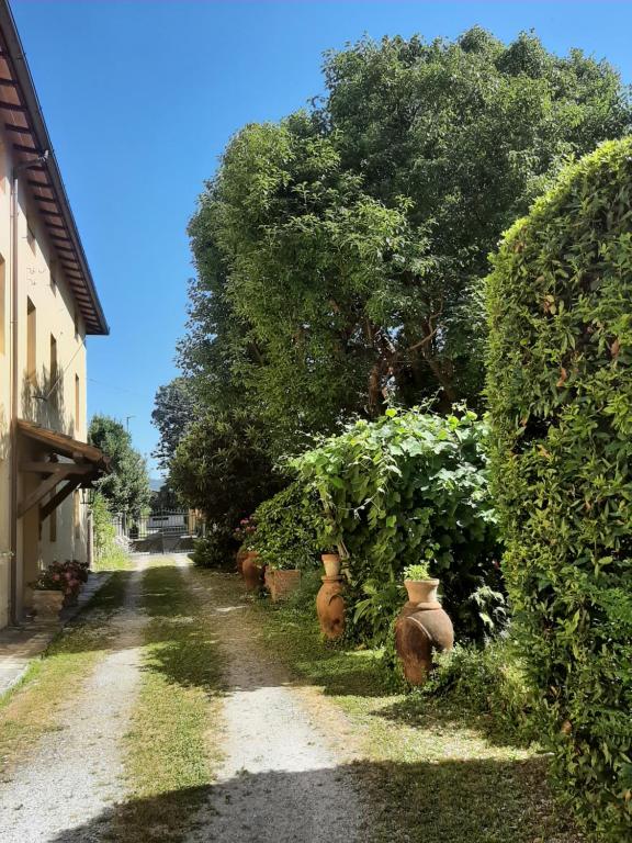 uma estrada de terra com vasos grandes ao lado de uma casa em Antica Fattoria La Verdina em Camaiore