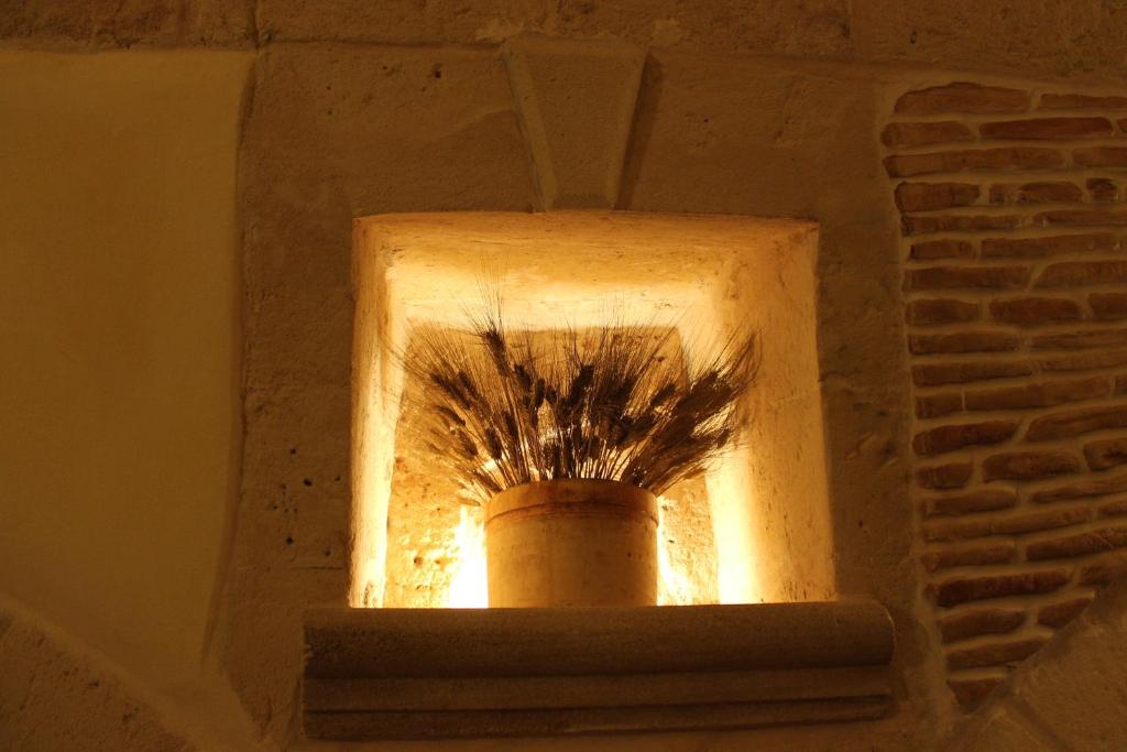Fotografie z fotogalerie ubytování Domusfrumenti v destinaci Oria