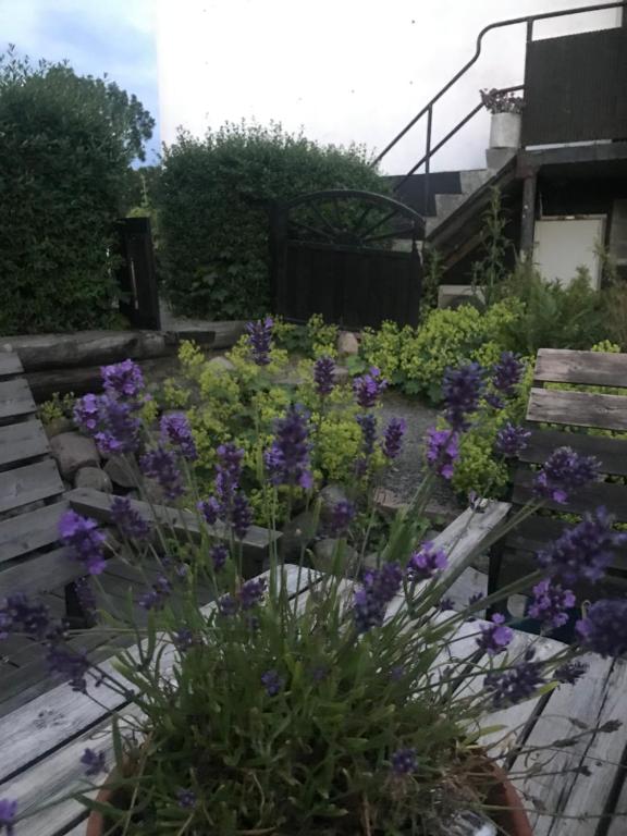 Aed väljaspool majutusasutust Botanikerns hus
