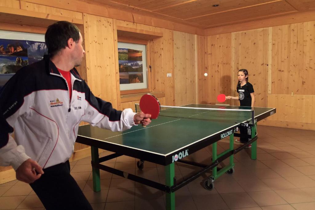 Hosté ubytování Hotel Piné