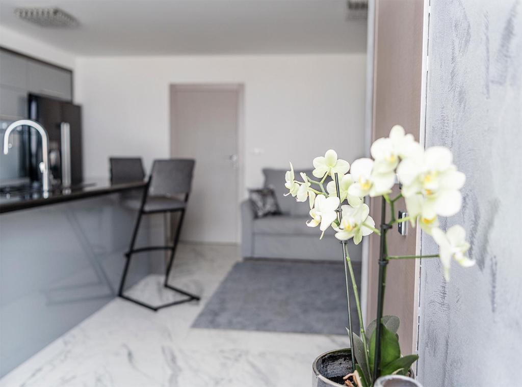 Kuchyňa alebo kuchynka v ubytovaní Apartments Petra Krk
