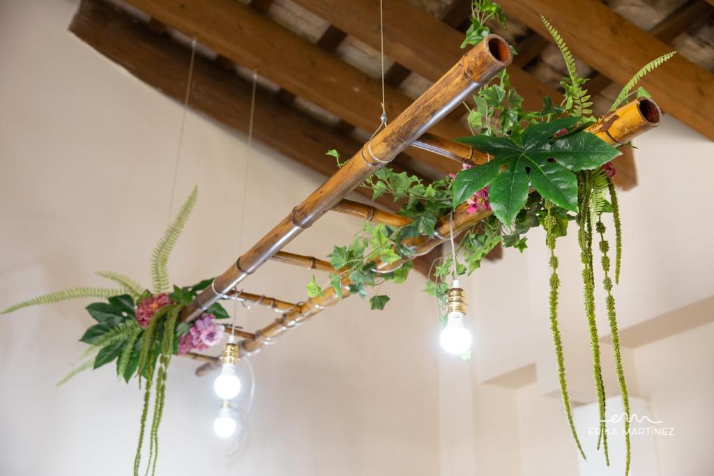 Jerez Centro MRZ Rentals - 10