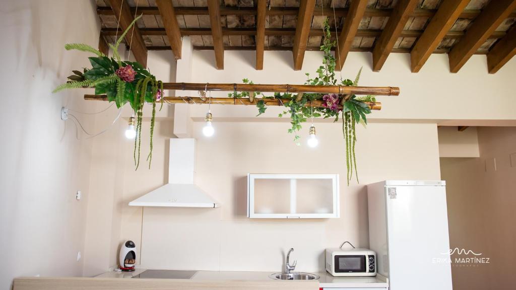 Jerez Centro MRZ Rentals - 6