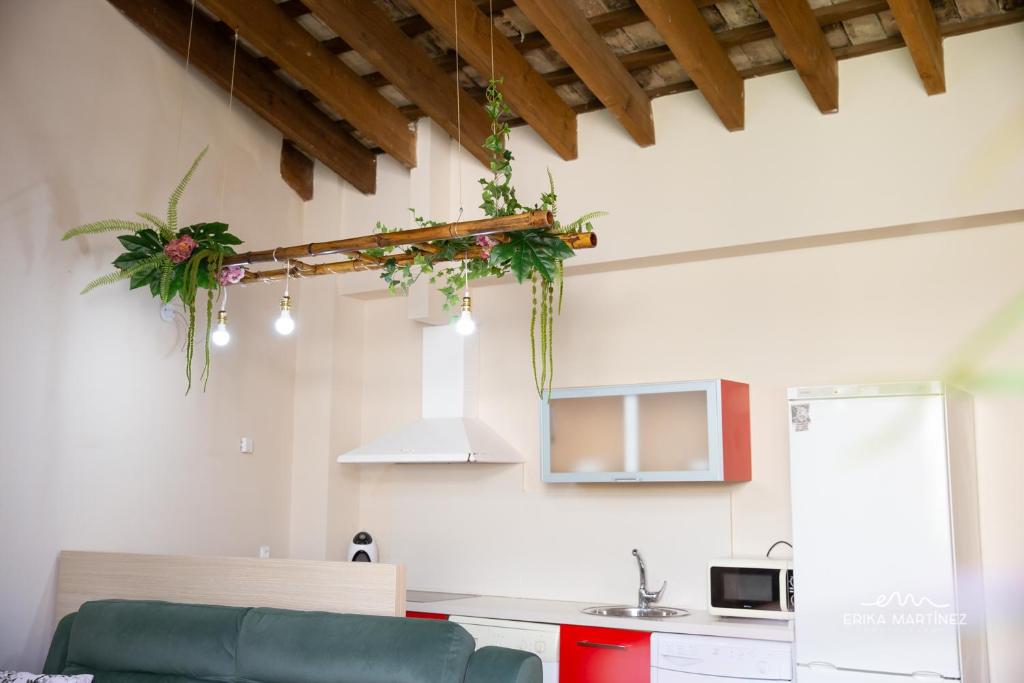 Jerez Centro MRZ Rentals - 13