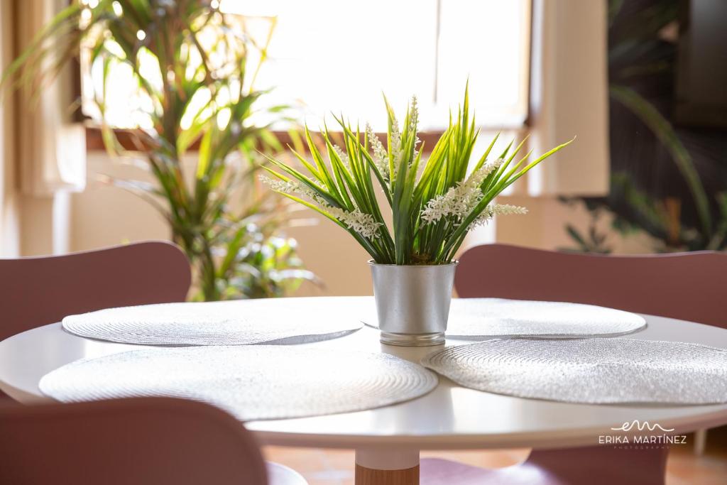 Jerez Centro MRZ Rentals - 7