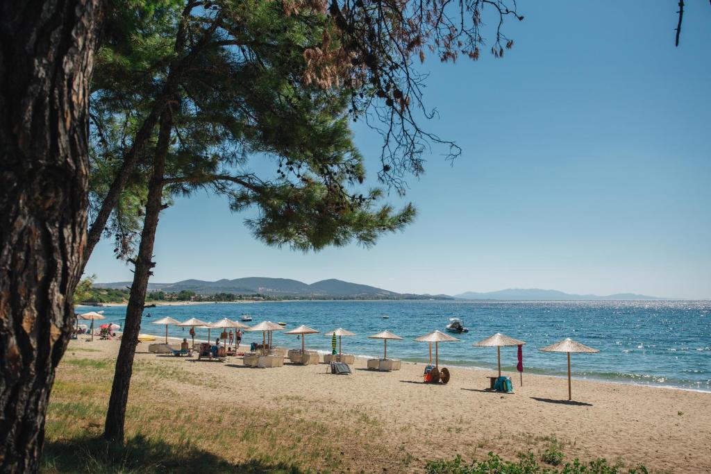 Fotografia z galérie ubytovania Olea Mare v destinácii Kalivia Poligirou