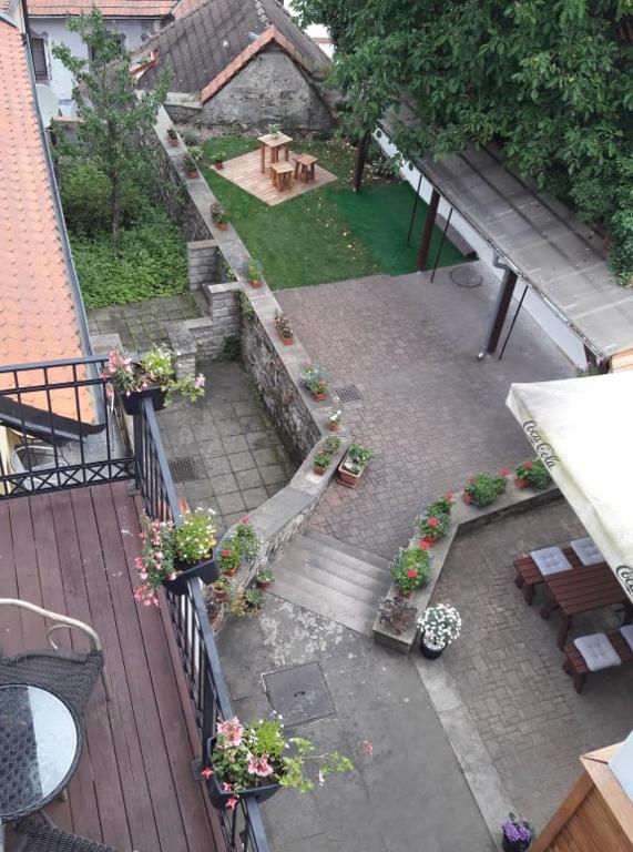 Zahrada ubytování Hotel Peregrin