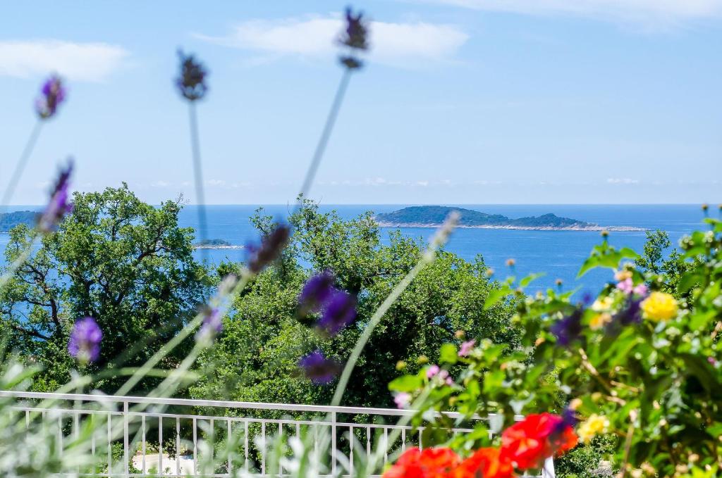 Príroda v okolí apartmánu