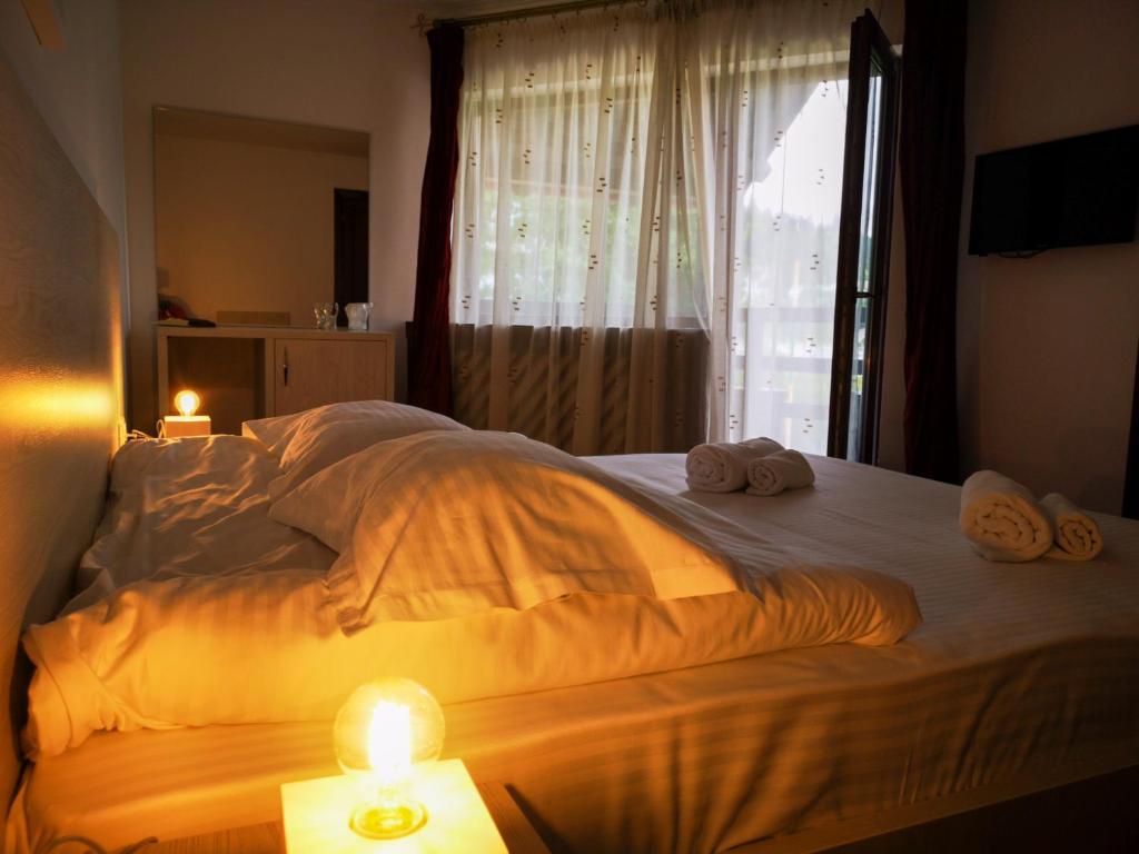 Postel nebo postele na pokoji v ubytování Casa Ardeleana