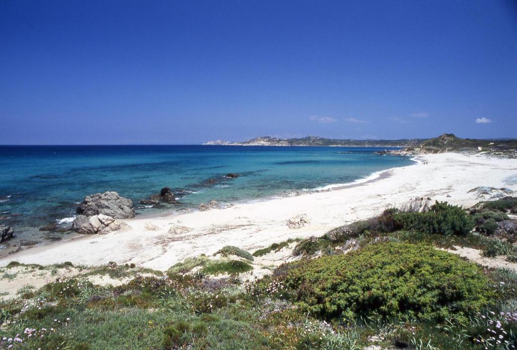 una playa con rocas y el océano en un día soleado en Rena Garden Apartments, en Rena Majore