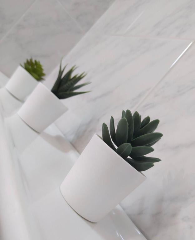 Venus Minimal Hotel - 12