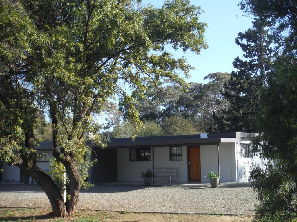 a house with a tree in front of it at Riempie Estate Self-Catering in Oudtshoorn
