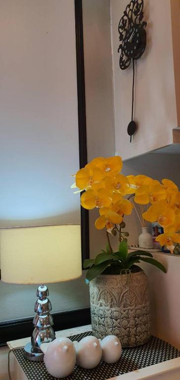 marrakesh ??????? ?????? - Resim 20