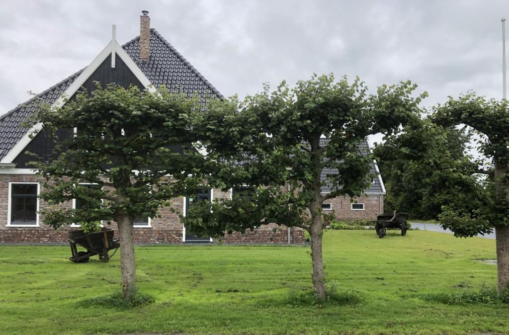 dos árboles en un campo frente a una casa en B&B Heeringhuusen en Haringhuizen