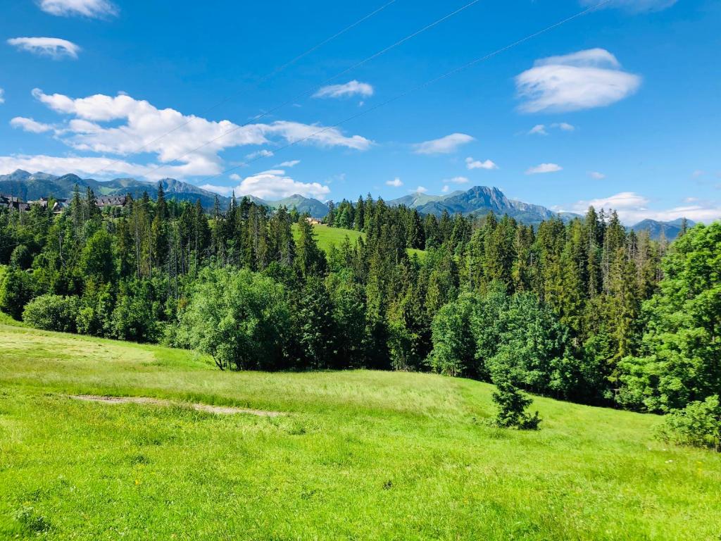 Príroda v okolí apartmánu