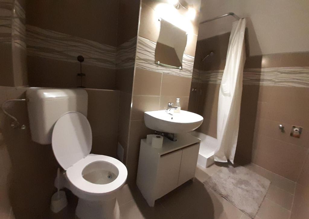 Łazienka z białą toaletą i umywalką w obiekcie Peak Apartman w Egerze