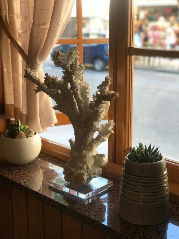 Fotografie z fotogalerie ubytování Hotel Corallo v Lignanu Sabbiadoru