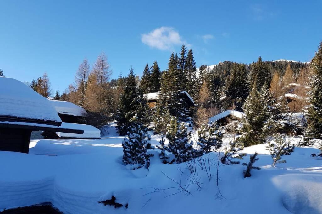 a snow covered yard with trees and a house at Chalet Wulli in der Nähe der Skianlagen Savognin in Savognin