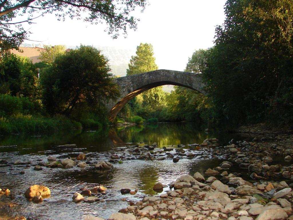 Příroda nedaleko apartmánu