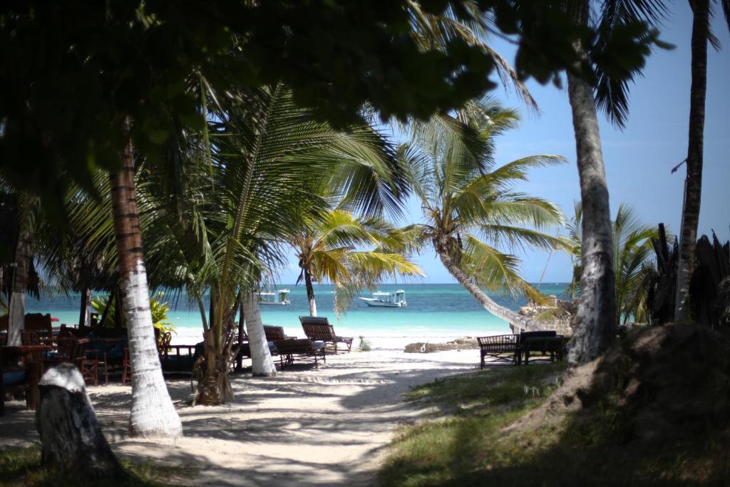 a beach with benches and palm trees and the ocean at Coconut Village Beach Resort in Diani Beach