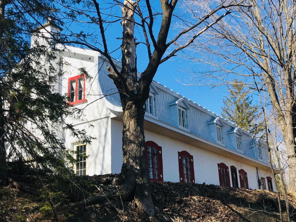 a white building with red windows and a tree at Le Clos des Brumes Chalet in Chateau Richer