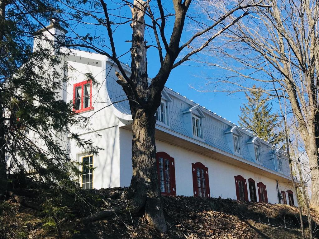 a white building with red windows and a tree at Le Clos des Brumes in Chateau Richer