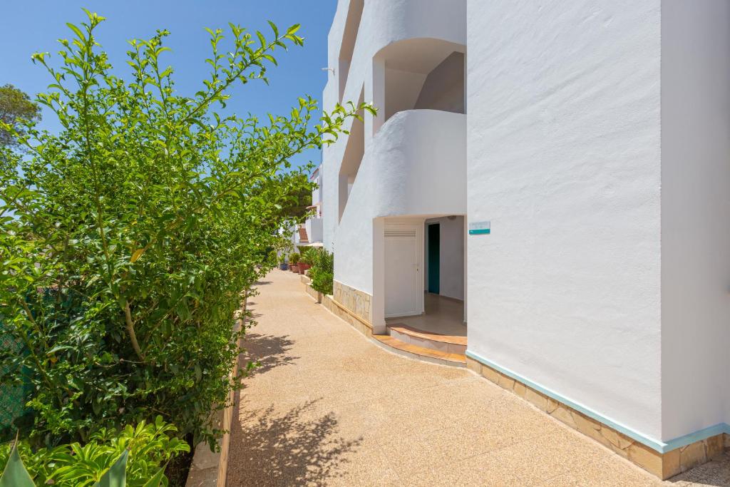 Apartamentos Los Arcos, Santa Eularia des Riu – Updated 2023 ...