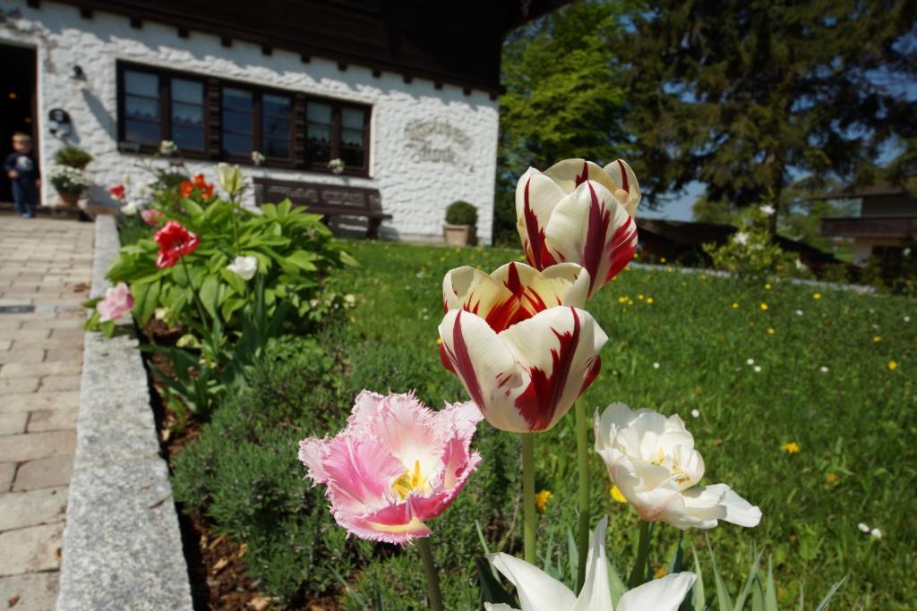 Zahrada ubytování Gästehaus Funk