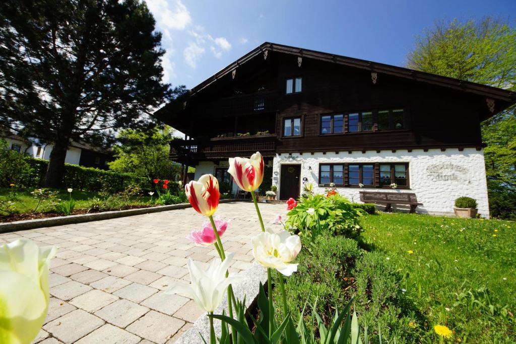 Zahrada ubytování Gästehaus Funk
