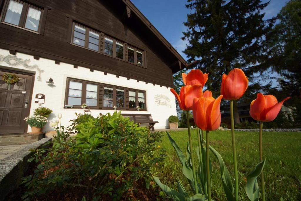 Zahrada ubytování Gästehaus Funk
