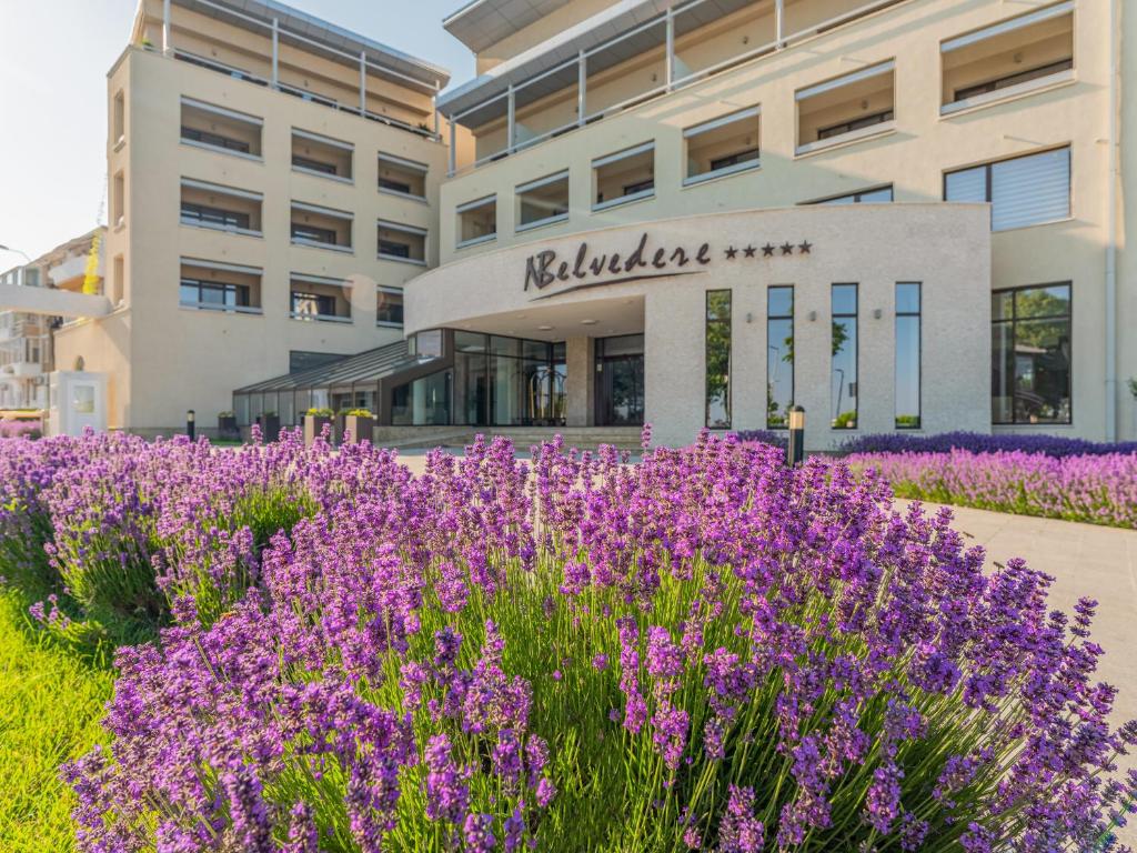 a field of purple flowers in front of a building at New Belvedere in Mangalia