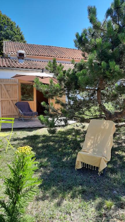 une chaise dans une cour à côté d'un pin dans l'établissement Le grand souffle, à Dolus-d'Oléron