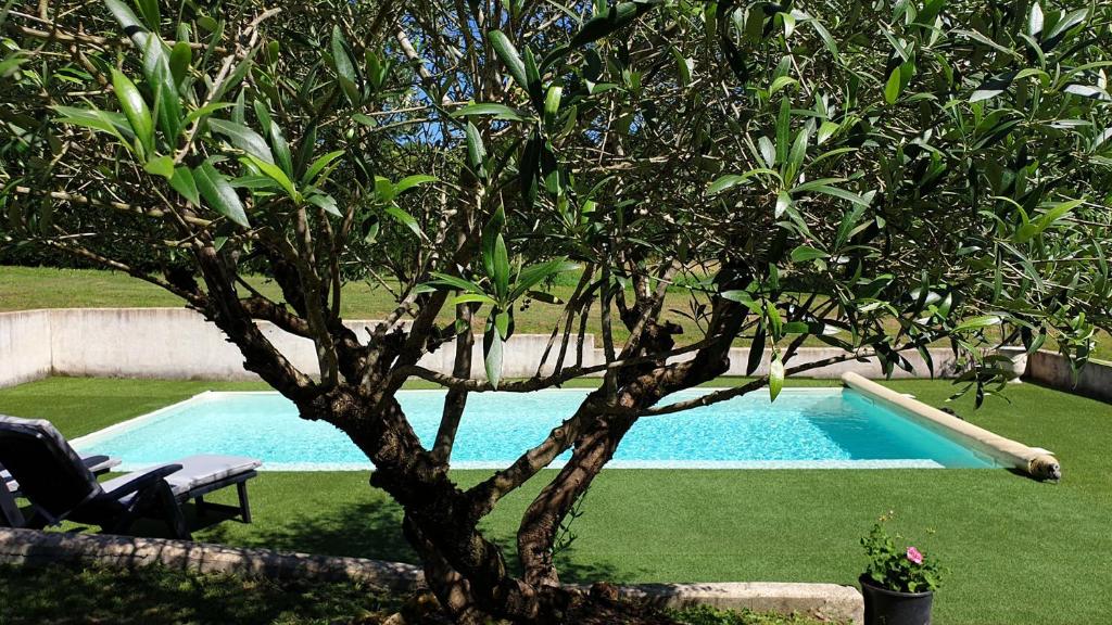 a tree next to a swimming pool in a yard at chambre saint emilion - Le Clos d'Antan in Les Artigues-de-Lussac