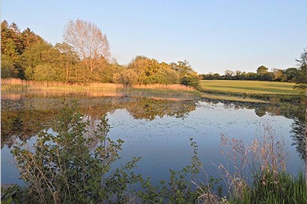 a view of a lake with trees in the background at Astwell Mill Luxury Shepherds Hut in Helmdon