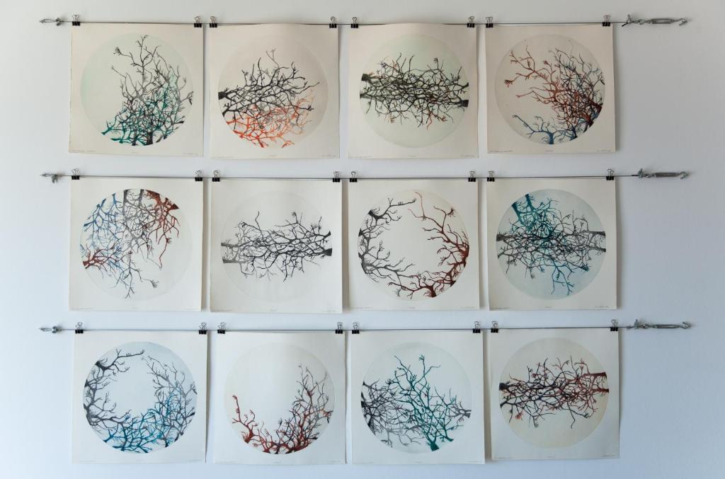 Fotografie z fotogalerie ubytování Apartment Iris v Dubrovníku