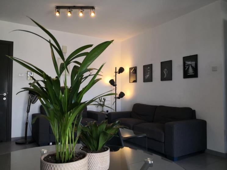 uma sala de estar com um sofá e uma planta em Loizou Holdings Flat 301 em Lárnaca