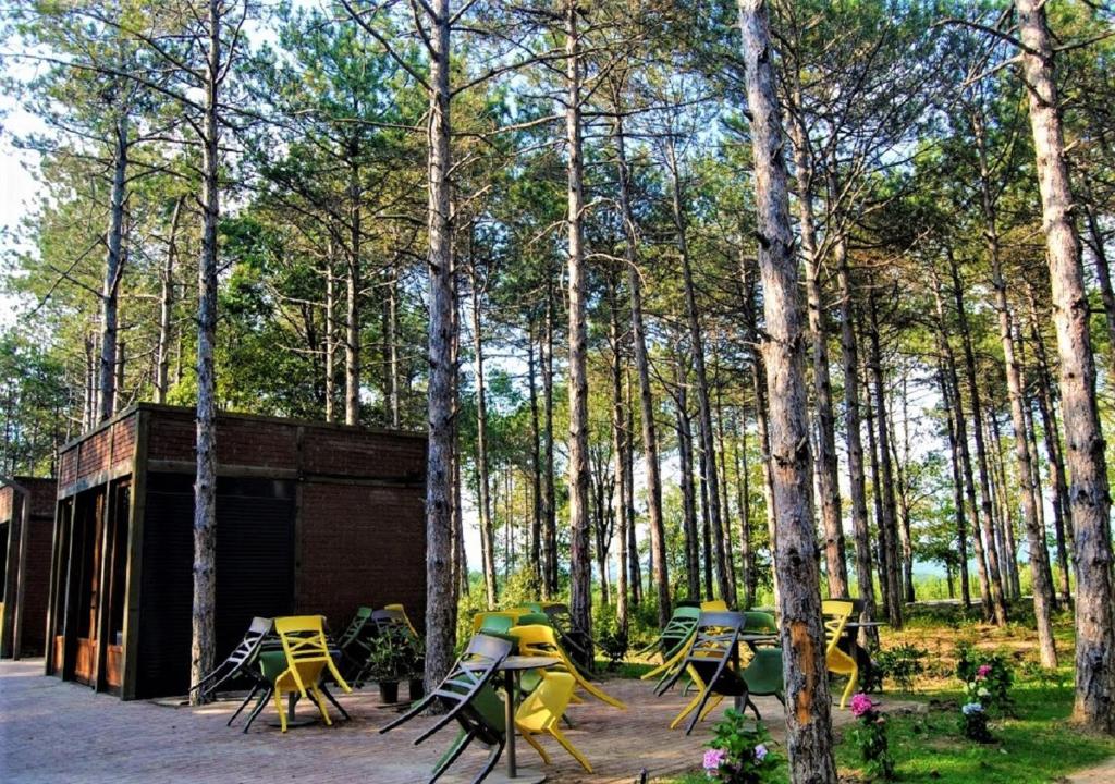 Zahrada ubytování LONGOSPHERE GLAMPING
