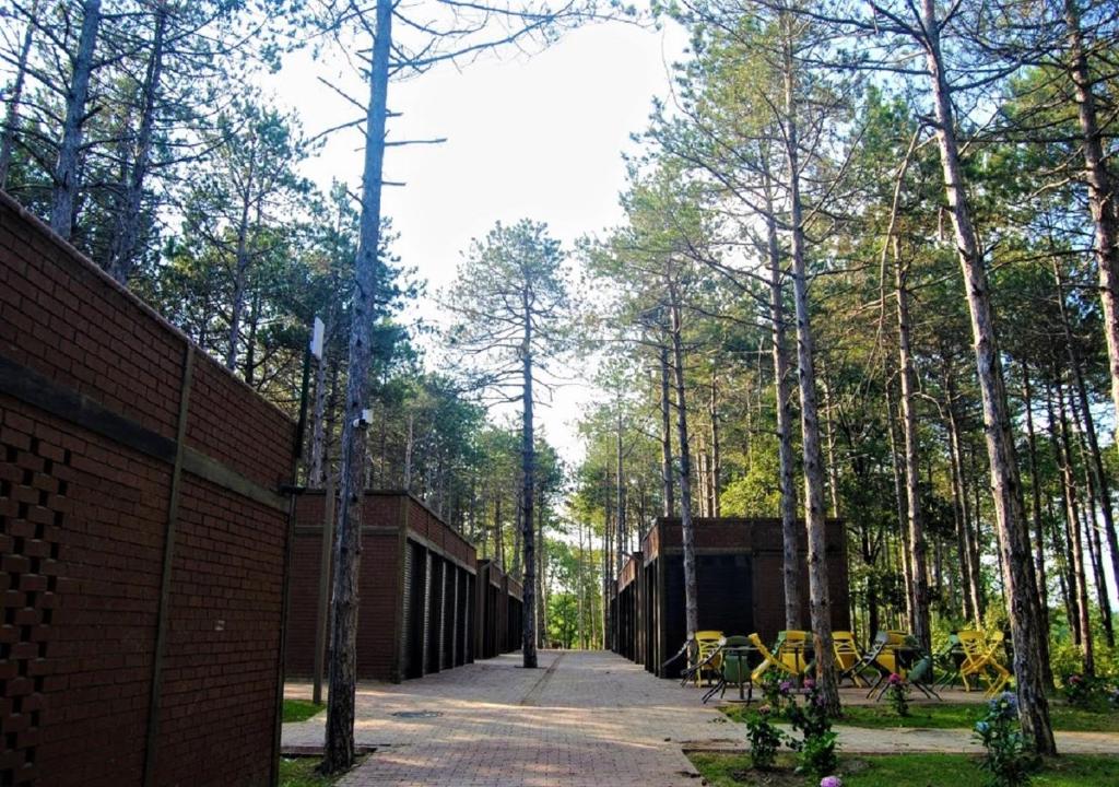 Zahrada ubytování LONGOSPHERE GLAMPING