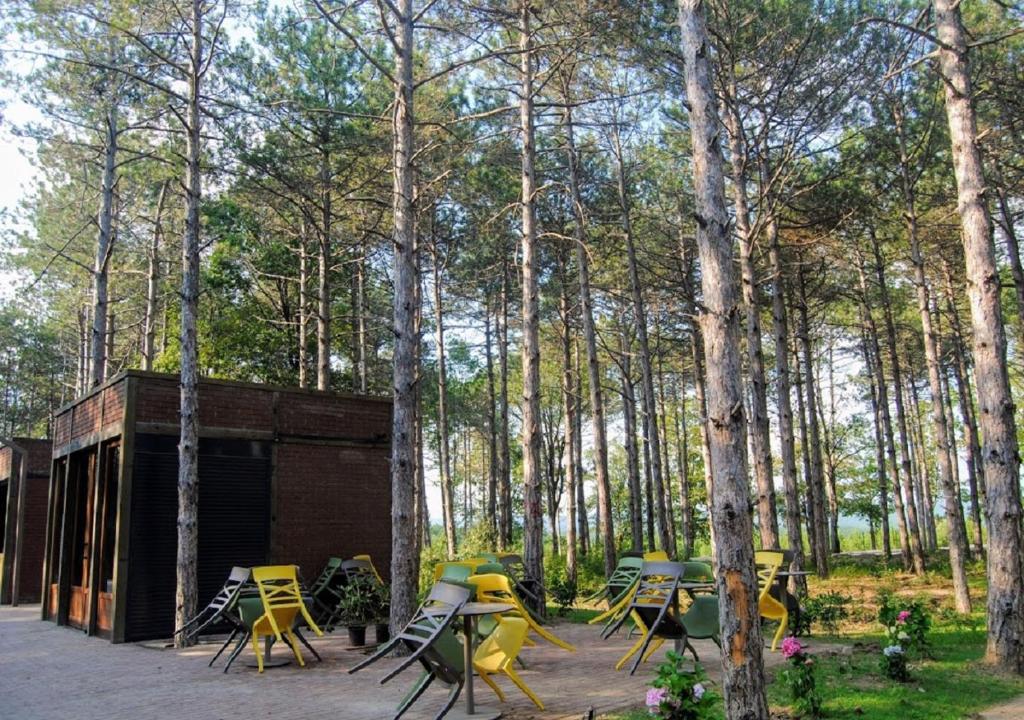 Zahrada ubytování LONGOSPHERE GLAMPING