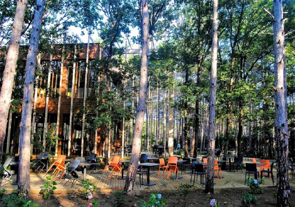 Zahrada ubytování LONGOSPHERE GLAMPING
