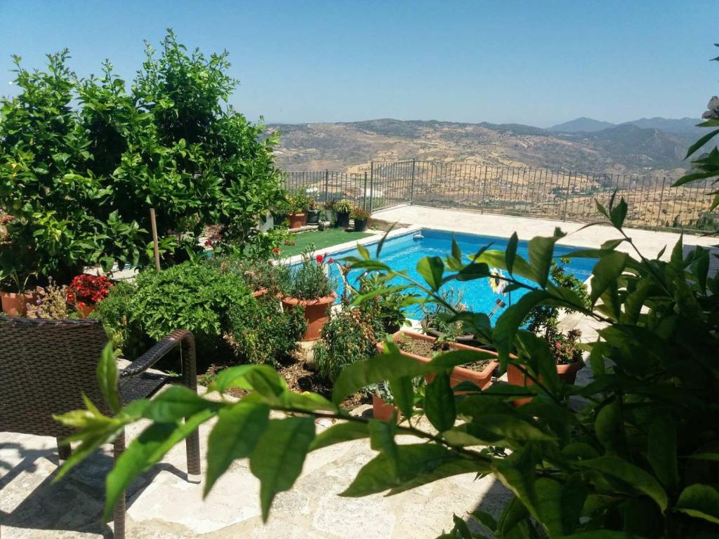 Blick auf einen Pool mit Bäumen und Pflanzen in der Unterkunft Georgia's House in Paphos City