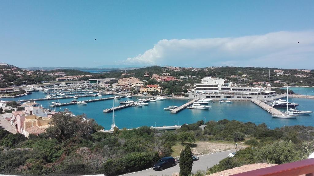 a view of a marina with boats in the water at Petit Porto Cervo in Porto Cervo