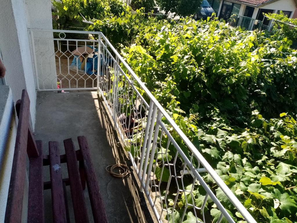 Zahrada ubytování Sobe Jacević
