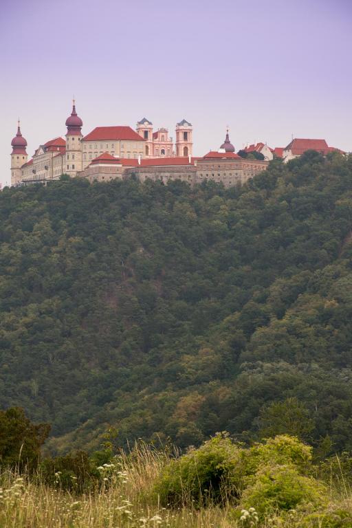 Příroda nedaleko bed and breakfast